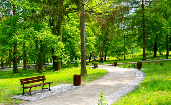Commercial,-Municipal-and-Parks public municipal park landscaping example - Rietzel Landscaping Ltd.